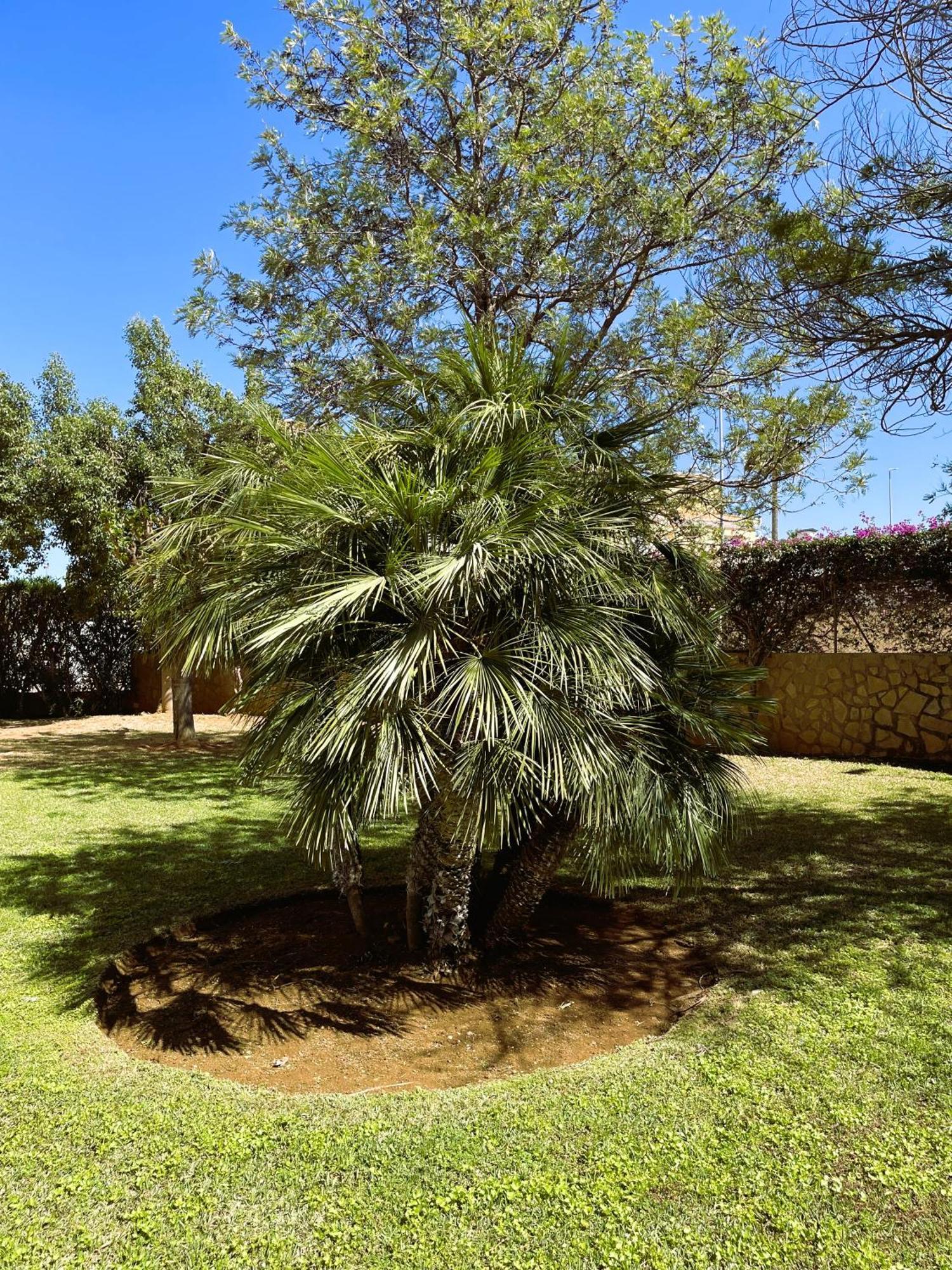 El Casa Kama Daire Denia Dış mekan fotoğraf