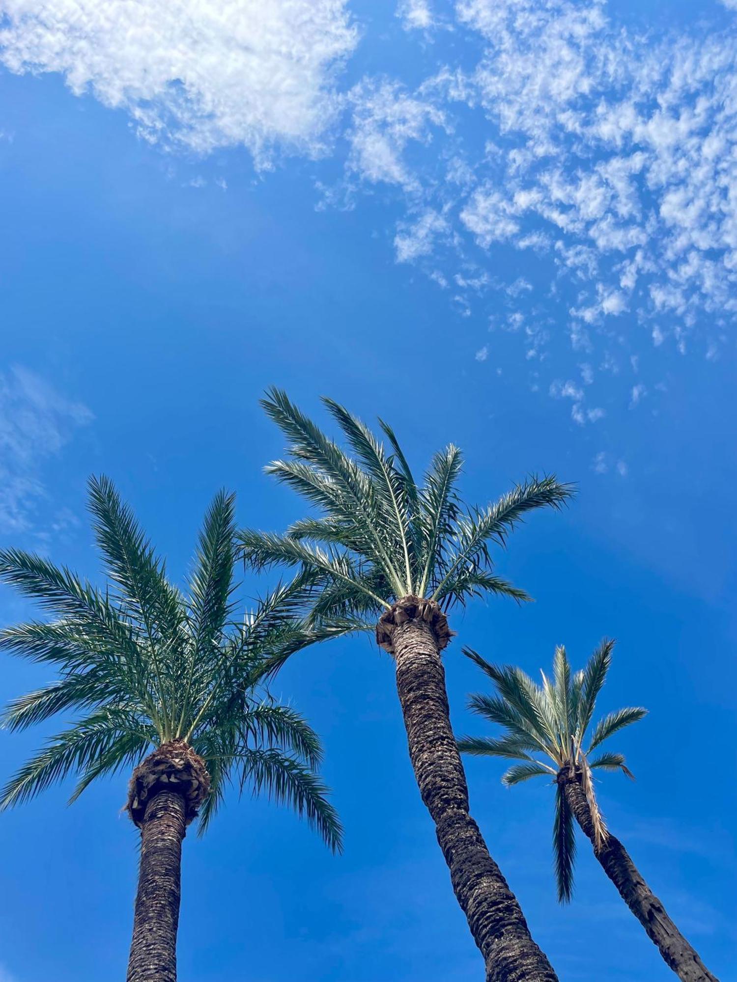 El Casa Kama Daire Denia Dış mekan fotoğraf