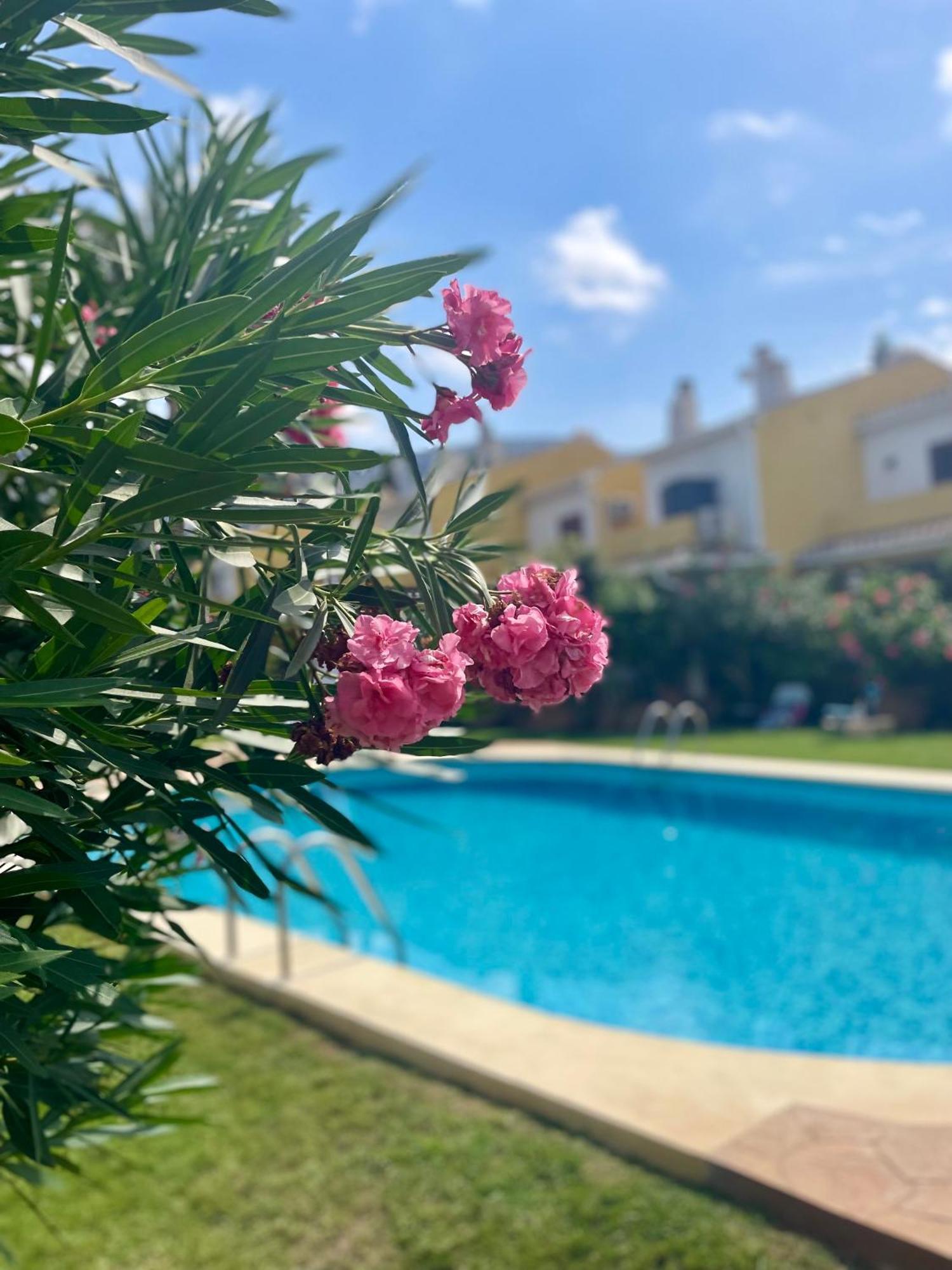 El Casa Kama Daire Denia Dış mekan fotoğraf